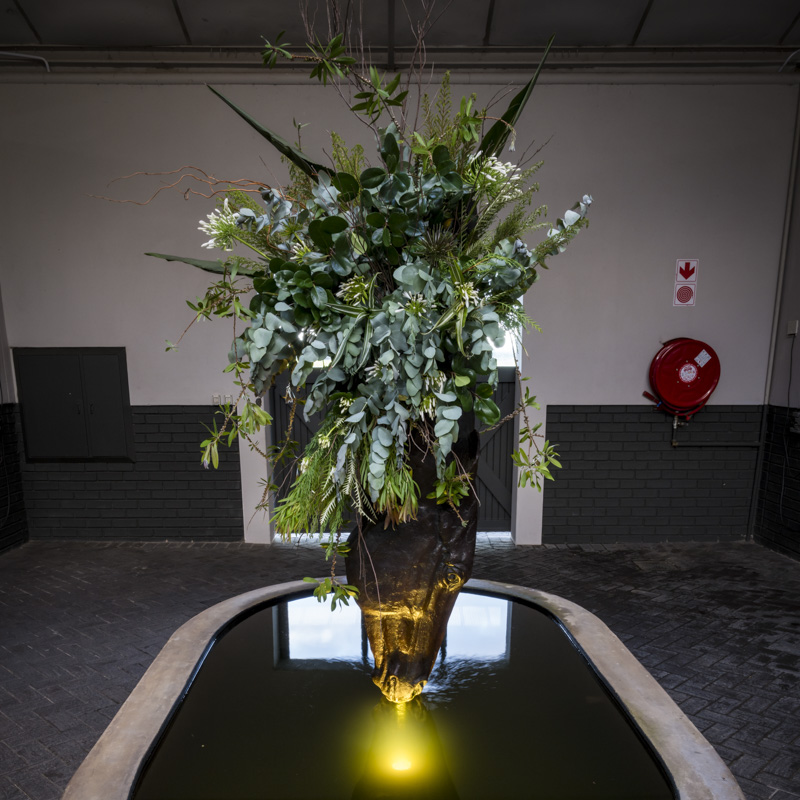 Rhone Hill Polo Club