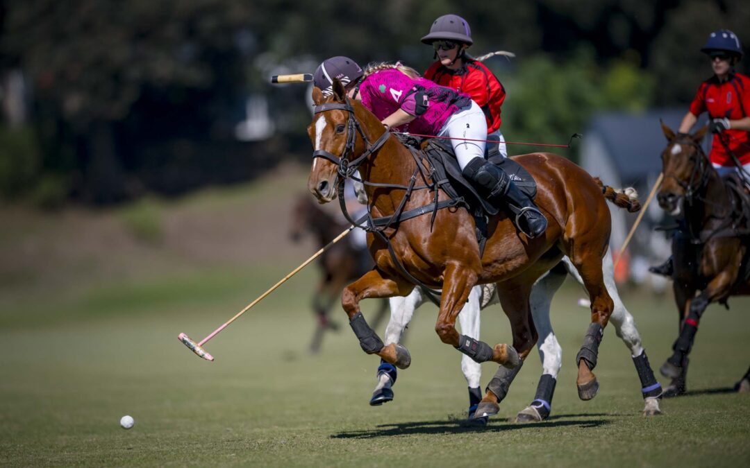 SA Ladies Open Rhone Hill Polo