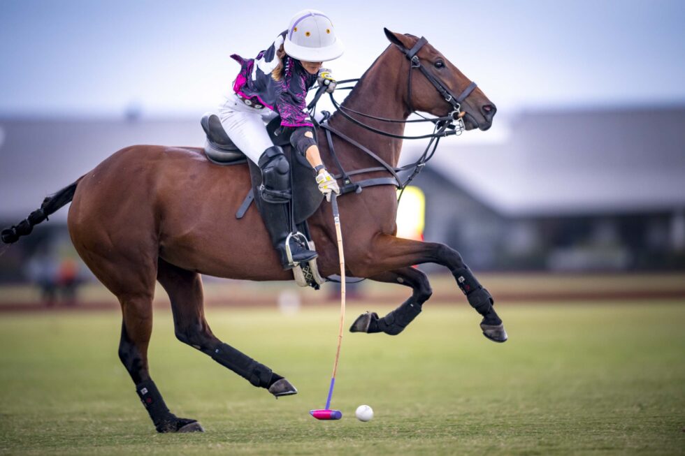 Rhone Hill Polo Club