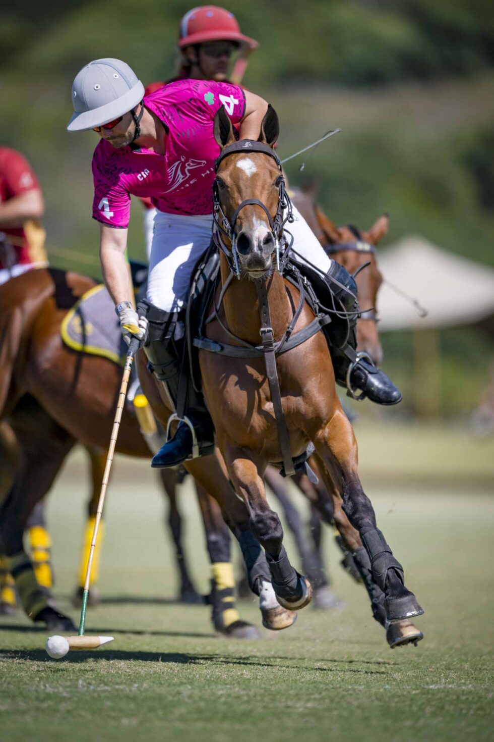 Rhone Hill Polo Club
