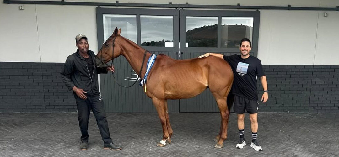 Best Playing Pony – Plett Polo 8 Goal