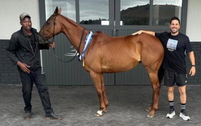 Best Playing Pony – Plett Polo 8 Goal